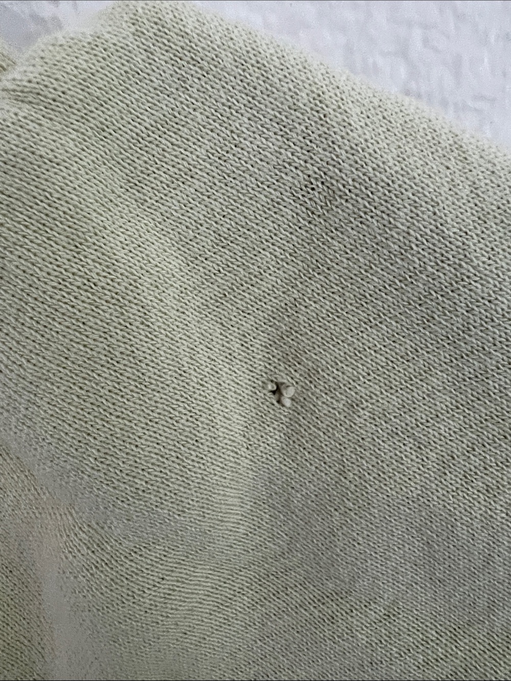 Madewell Pale Sage Short Sleeve Sweatshirt - Picture 5 of 10